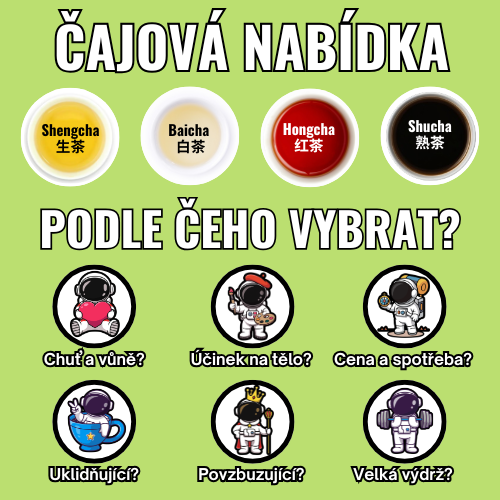 TEA in general - CZ
